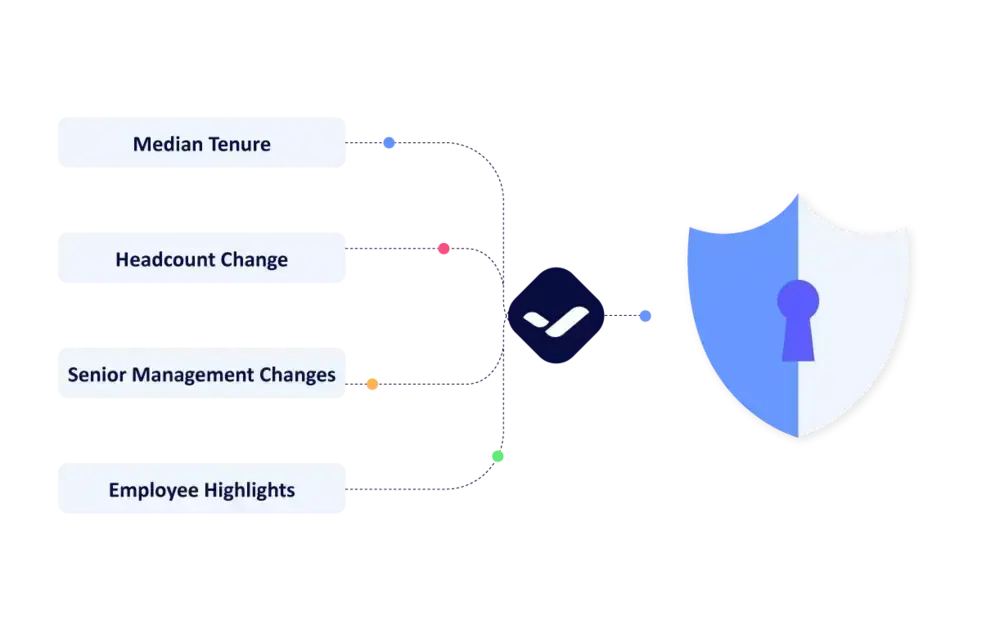 Access detailed risk reports with Riskify