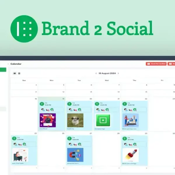 Brand2Social - Simplify Social Media Management | SEO Expert